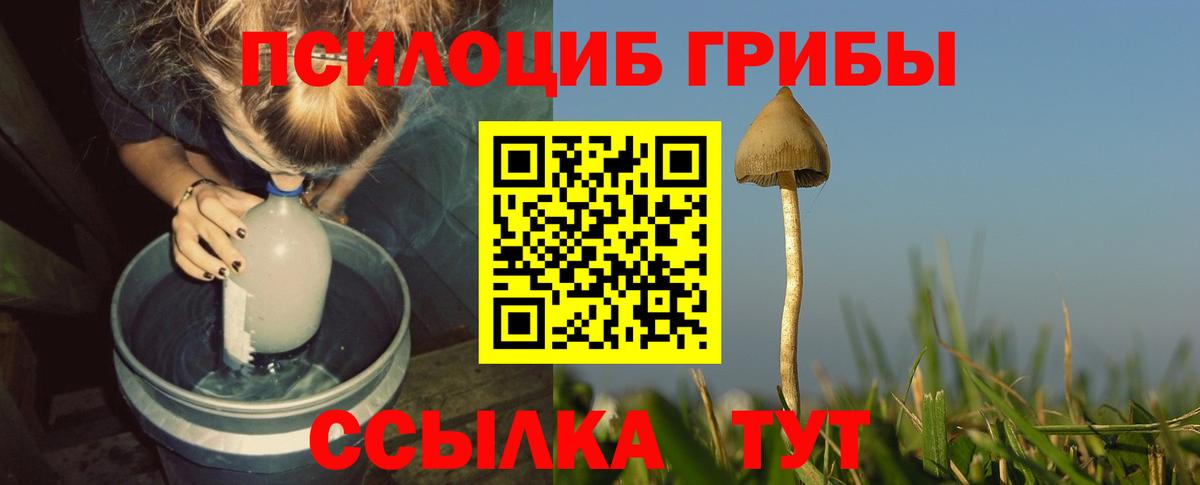 Обнинск  Псилоцибиновые грибы MAGIC MUSHROOMS  Вход с VPN 